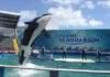 Miami Seaquarium Miami Seaquarium